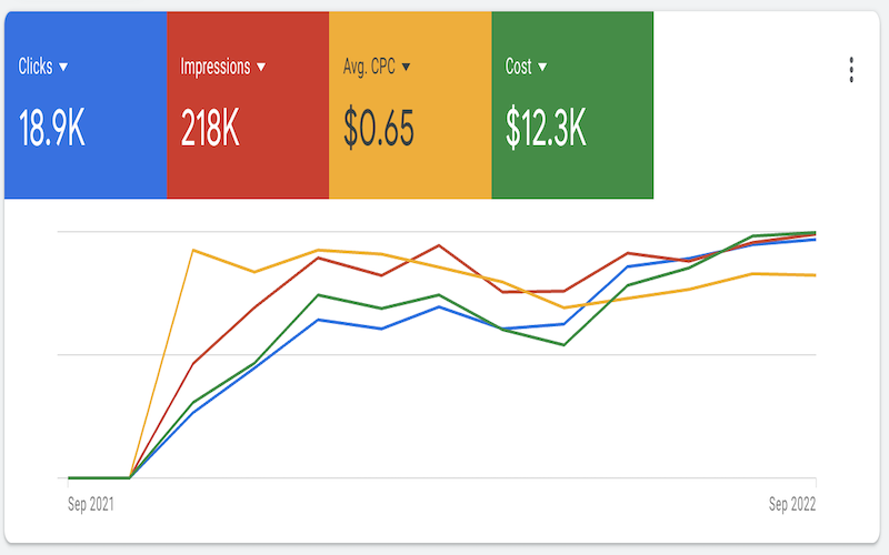 Assure Saftely_Google Ads